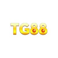 tg88vcom