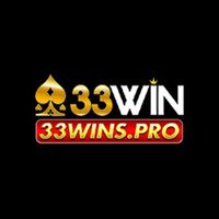 33winspro1