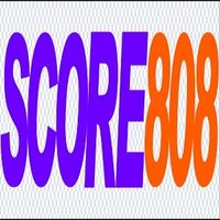 score808goaltop