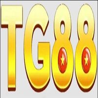 tg88z1com