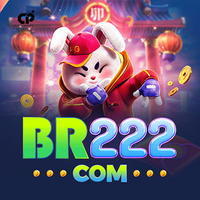 br222vswkx