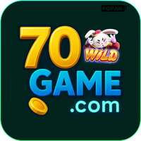 fv70game