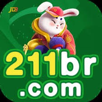 dm211br