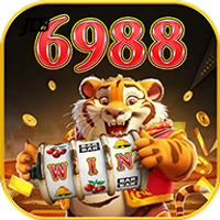 ii6988win