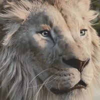 hunter033
