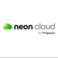 neoncloud4