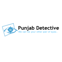 punjabdetective11