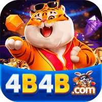 zp4b4b