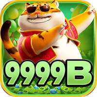 nw9999b