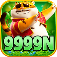 hm9999n