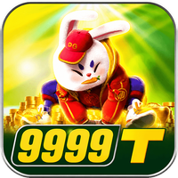 zs9999t