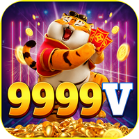dk9999v