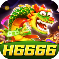 h6666wybdq