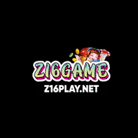 z16playnet