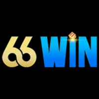 mi66win