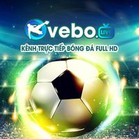 vebotvfuer
