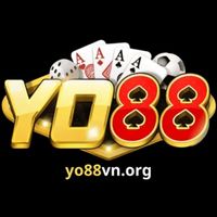 yo88vnorg01