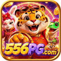 dk556pg