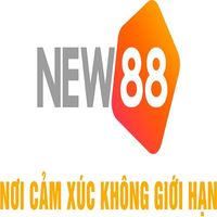 sznew888com