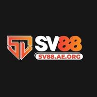 sv88aeorg