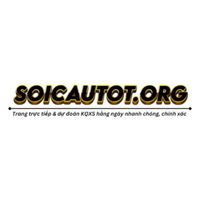 soicautotorg
