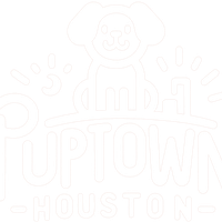puptownhoustondogtraining