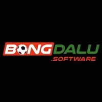 bongdalusoftware